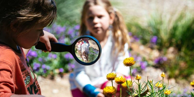 Get the Kids Involved in NaturallyGC Near Our Biggera Waters Apartments